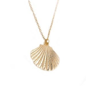 Collier Coquillage Long